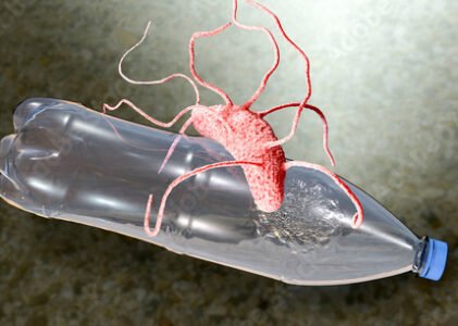 WE FOUND A WAY TO SOE (SAVE OUR EARTH)!